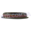 Картинка SL260031 Аналог: 5066066AA