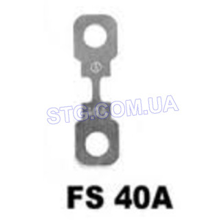 Картинка Запобіжник TESLA TESFS40A